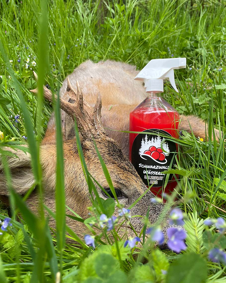 Recharge - Spray de sel à l'anis - Appât pour sangliers, chevreuils, cerfs et daims.